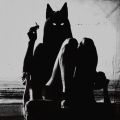 Selina 